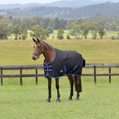 Weatherbeeta Comfitec Tyro Turnout Standard Neck 220g