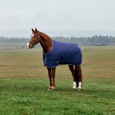 Weatherbeeta Comfitec Tyro Turnout Standard Neck 50g