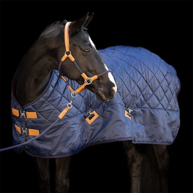 HV Polo Stalldecke HVPJet