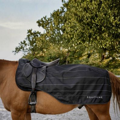 Equithème 600D Lumin Nierendecke