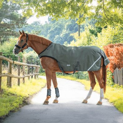 Busse Bewegungsdecke Rain HL 50g