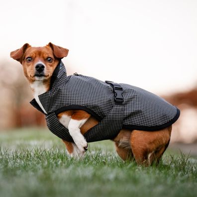 Bucas Reflectglow Dog Rug