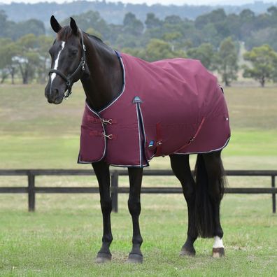 Weatherbeeta Comfitec Essential Turnout 100g