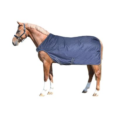 Equest Führanlagendecke Kingston 600D - 100g