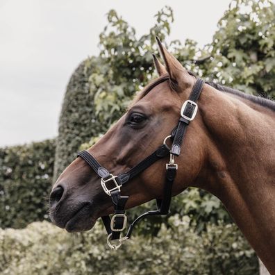 Kentucky Horsewear Nylon Halfter geflochten - schwarz