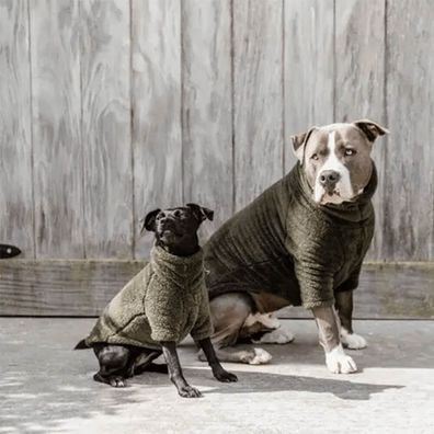 Kentucky Dogwear Hunde Pullover Teddy Fleece