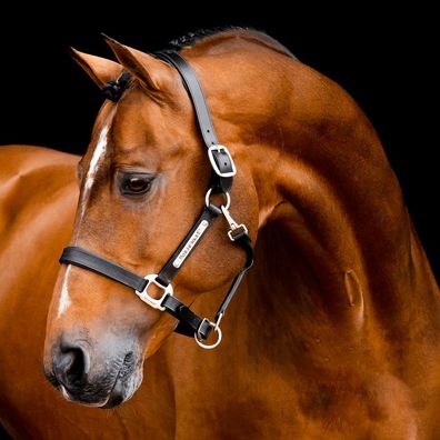 Horseware Signature Leather Headcollar