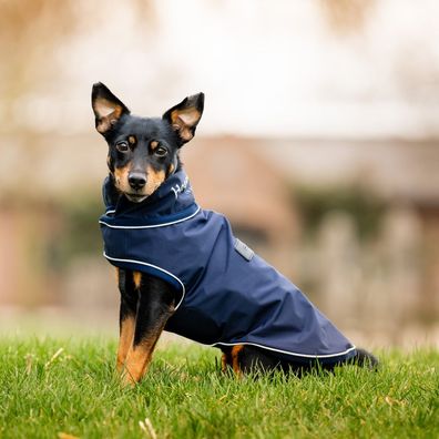Horseware Signature Dog Rain Coat 0g