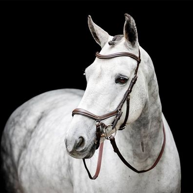 Horseware Micklem Bitless Bridle