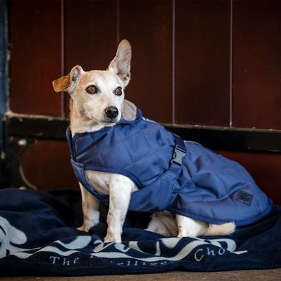 Bucas Cosy Dog Rug - Hundemantel