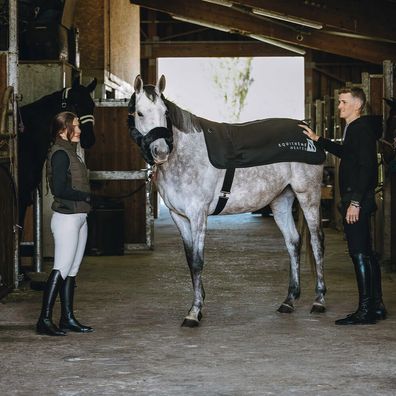 Equithème Heated Rückenwärmer