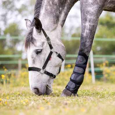 LeMieux Break Away Headcollar