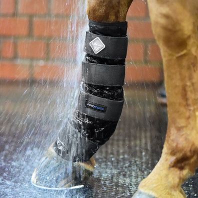 LeMieux Cold Water Boots