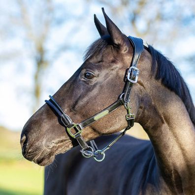 LeMieux Rope Control Headcollar
