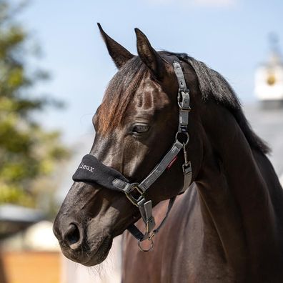 LeMieux Vogue Headcollar & Leadrope