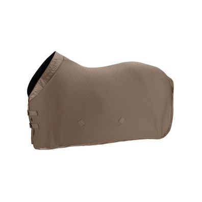 Eskadron Platinum 25 Aerial Jersey Abschwitzdecke