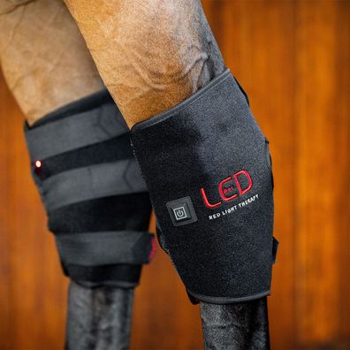 Horseware LED Red Light Therapy Sprunggelenkbandage