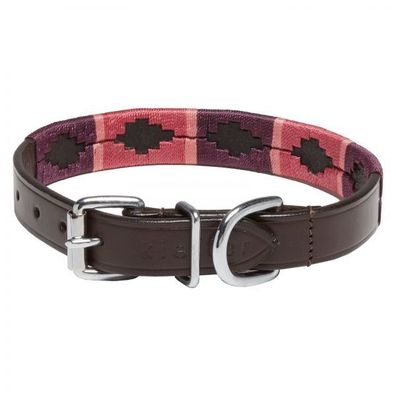 Hunde-Halsband Buenos Aires