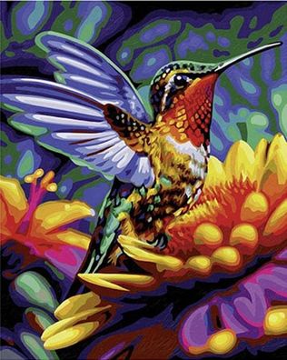 Kolibri