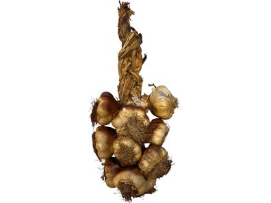Hymor Knoblauch geräuchert als Knoblauchzopf 12 Stück 1kg aus Arleux, Frankreich