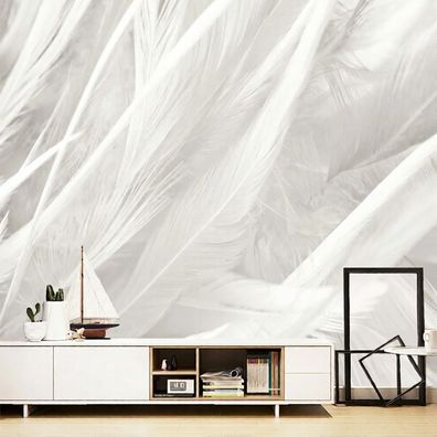 Fototapete Weiße Federn - Elegantes Feder-Motiv in Weiß & Creme | Moderne 5159