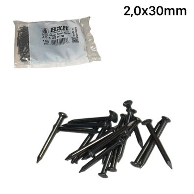 100 Stück Stahlstifte gebläut Stahlnägel gehärtet 2,0x30mm BÄR Rundkopf Bildernägel