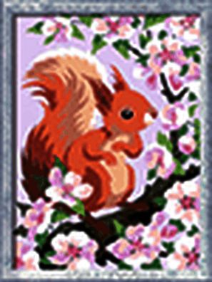 Neugieriges Eichhörnchen