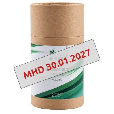 Artemisia annua Kapseln (120 Stück) in ökol. Verpackung - Vital Engel