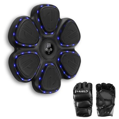 Boxtrainer Reflextrainer Wandboxscheibe