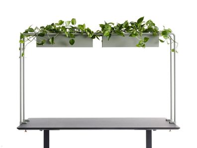 APTO Schreibtisch Halterung für Blumenkästen 160x80x2cm mit Tischklemmen, olivgr