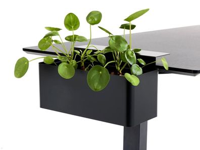 APTO Flowerbox Blumenkasten 397x194mm mit Tischklemmen, schwarz
