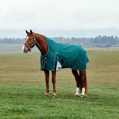 Weatherbeeta Comfitec Plus Dynamic Turnout High Neck 100g