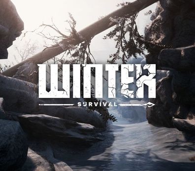 Winter Survival - Steam Key (Aktivierungscode)