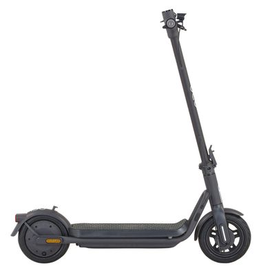 Prophete E-Scooter ONE 300W | App-Steuerung | 40 km Reichweite | 10 Zoll Luftreifen