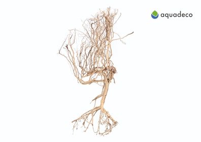 AquaDeco Wüstenbaum 20–30 cm – natürliches Dekoholz für Aquarium & Terrarium