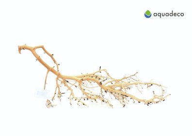 AquaDeco Coral Tree – Naturwurzel für Aquascaping | S 10–20 cm oder M 20–30 cm