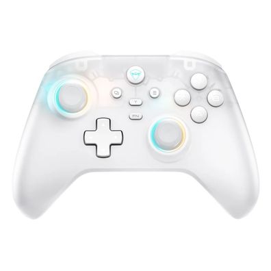 Funkcontroller Gamepad Joypad
