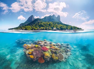 Insel und Korallenwelt