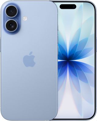 Apple iPhone 17 256GB Mist Blue | DHL Express: Schon morgen bei Ihnen!