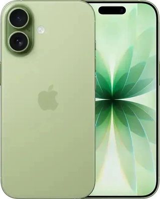 Apple iPhone 17 256GB Sage | DHL Express: Schon morgen bei Ihnen!