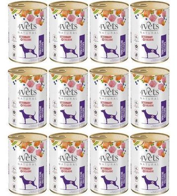 4VETS Natürliches Magen-Darm-Nassfutter für Hunde - 12 x 400 g