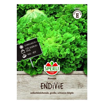 Sperli Endivie Nuance Samen - 1 Portion