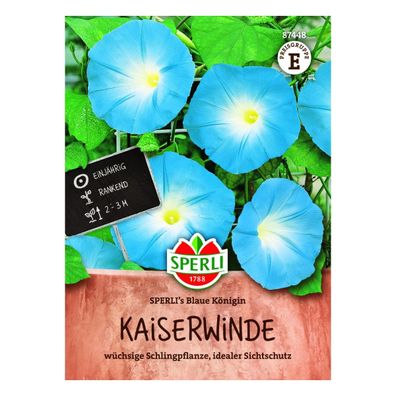 Sperli Trichterwinde (Kaiserwinde) Blaue Königin Samen - 1 Portion