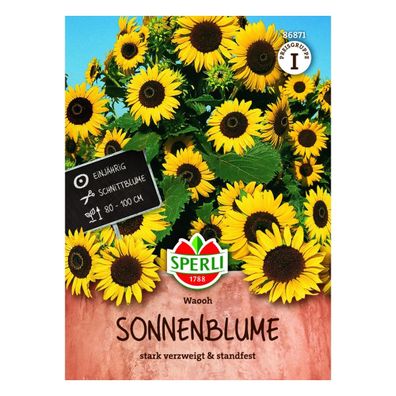 Sperli Sonnenblume Waooh - 1 Portion