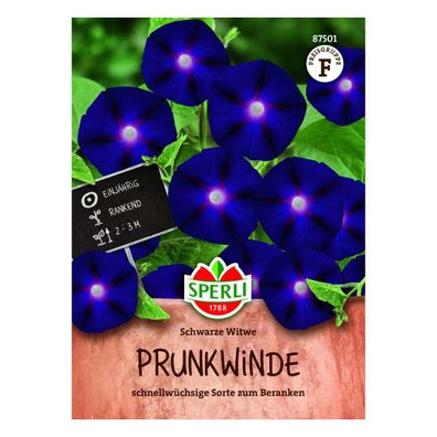 Sperli Prunkwinde Schwarze Witwe - 1 Portion