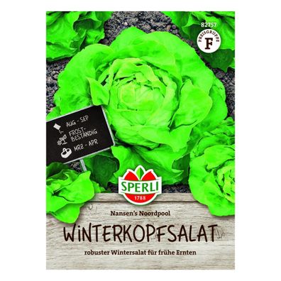 Sperli Winterkopfsalat Nansen's Noordpool Samen - 1 Portion