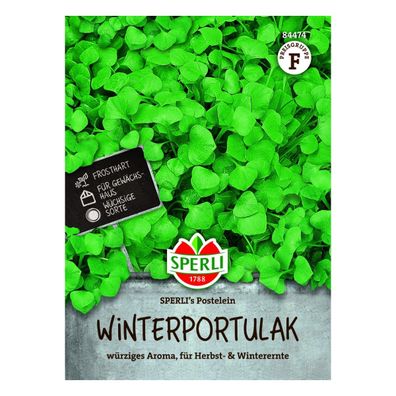 Sperli Winterportulak Postelein - Saatgut, Große Tüte (1 Portion)