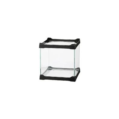 ISTA Mini Aquarium / Terrarium schwarz – Glasbecken 16 x 16 x 16 cm