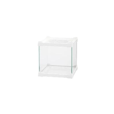 ISTA Mini Aquarium / Terrarium weiß – Glasbecken 16 x 16 x 16 cm