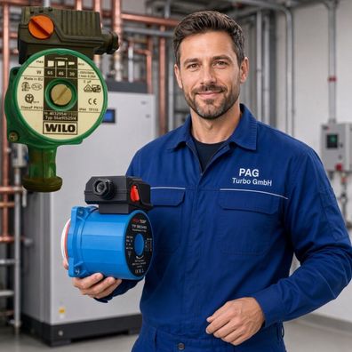 Pumpenkopf Ersatz Motor Wilo Star RS25-4 Heizungspumpe Umwälzpumpe Förderhöhe 4m
